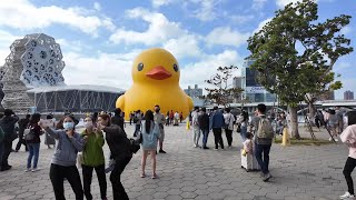 Exploring Downtown Kaohsiung Taiwan  Glory Pier Light Rail Ride 85 Sky Tower Central Park [upl. by Odrautse]