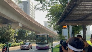 MRTravels on a Bus SBS8255E on Punggol LRT West Loop Free Bridging Bus [upl. by Schulman]