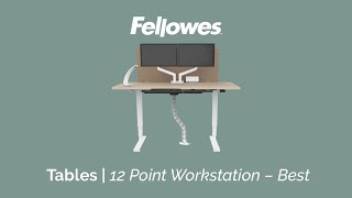 Fellowes 12 Point Workstation  Best [upl. by Oiramat]