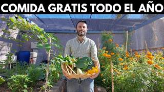 Transformó Su Patio en un Paraíso Urbano de Cultivo 🌿🌶️🍅🥬 [upl. by Eclud]