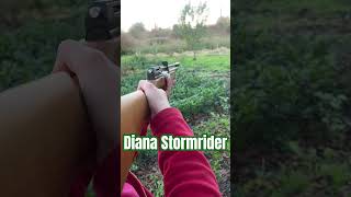 Diana Stormrider Diana airgun’s [upl. by Westhead]