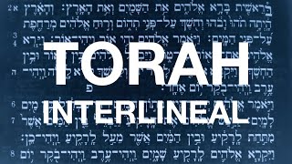 TORAH INTERLINEAL Hebreo  Español  PDF a Libre Descarga [upl. by Carl]