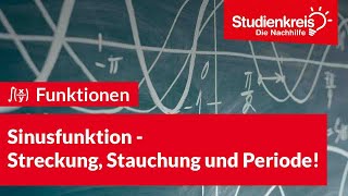 Sinusfunktion  Streckung Stauchung und Periode  Mathe verstehen mit dem Studienkreis [upl. by Airyk628]