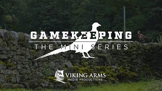 Gamekeeping The Mini Series  Pheasant E3 [upl. by Ruomyes]