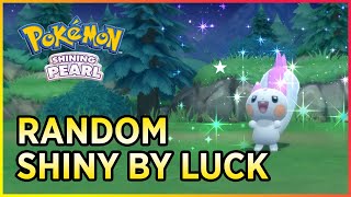 FULL ODDS Shiny Pachirisu in Pokemon BDSP [upl. by Dorn]