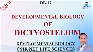 DB18 II Developmental Biology of Dictyostelium II Developmental Biology II VG [upl. by Encratis]