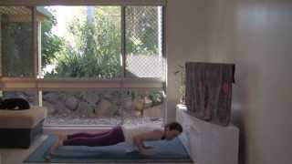 Yoga in Daily Life Asanas 30 minute full class [upl. by Acinomal]