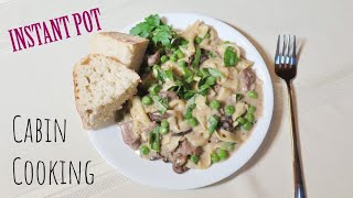 INSTANT POT BEEF STROGANOFF│EASY VACATION COOKING [upl. by Occor440]