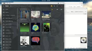 MusicBrainz Picard examples for beginners to fix metadata issues for Plex [upl. by Mcnally375]