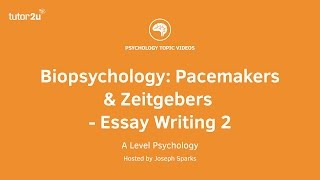 Biopsychology Pacemakers and Zeitgebers Essay Writing 2 [upl. by Ahsiemac]