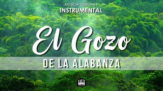 El Gozo De La Alabanza  MUSICA INSTRUMENTAL CRISTIANA ALEGRE  LEVANTA EL ANIMO [upl. by Haas]