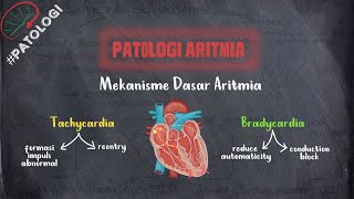 Patologi Aritmia  Mekanisme Dasar Aritmia  Takikardia dan Bradikardia [upl. by Gayner662]