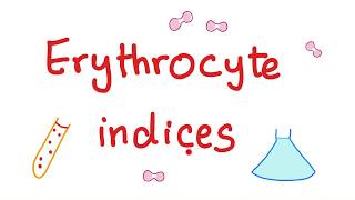 Erythrocyte indices — Hemoglobin Hematocrit MCV MCH amp MCHC — What Do These Lab Tests Mean [upl. by Welbie]