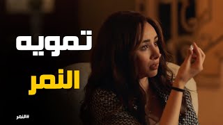 بعد تنفيذ خطة ملك الشيمي الألماس مضروب النمر [upl. by Sissel]