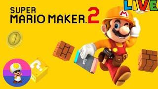 Super Mario Maker 2 Expert ChallengeViewer Levels amp Worlds 43 [upl. by Sacci]