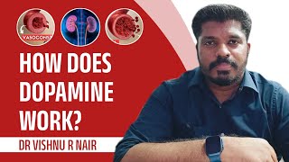 How does Dopamine Work  Dr Vishnu R Nair [upl. by Idolem]