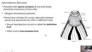 Microbiology Protozoans [upl. by Trisa632]