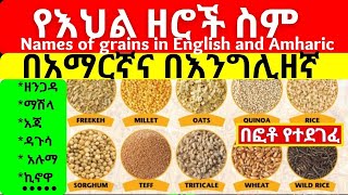 Names of grains in English and Amharic with pictures  የእህል ዘሮች ስም  Cereals in Amharic [upl. by Arimaj448]