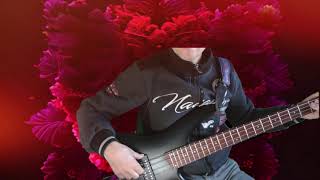 Francis Cabrel La corrida bass cover [upl. by Idden]