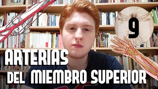 ARTERIAS DEL MIEMBRO SUPERIOR ANATOMIA  MORTASH [upl. by Uchida871]