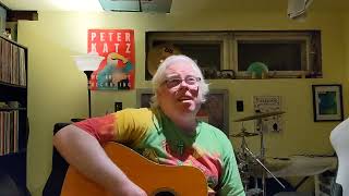 Bennie and the Jets Elton John cover [upl. by Beall]