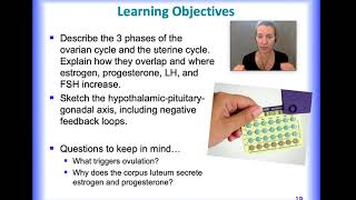 female reproductive physiology [upl. by Ahseat]