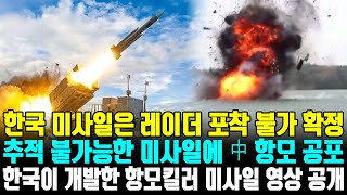 한국 미사일은 레이더 포착 불가 확정 추적 불가능한 미사일에 中 항모 공포 한국이 개발한 항모킬러 미사일 영상 공개 [upl. by Aliuqahs]