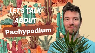 Lets Talk about Pachypodium [upl. by Viquelia]