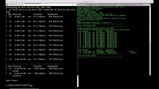 TT20 iPerf for TCP iPerf for UDP [upl. by Euf]