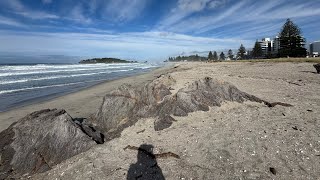 Mt Maunganui Beach Report🇳🇿Thursday Live from New Zealand [upl. by Leuas]