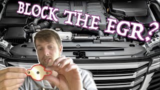 EGR Blank Delete Or Removal Common Rail Diesel Should You do it Pros amp Cons [upl. by Eicram]