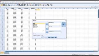 Normality Testing for All Levels of Two Independent Variables in SPSS [upl. by Aldercy]