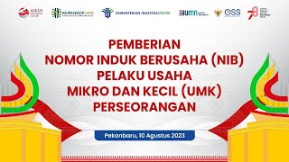 Pemberian Nomor Induk Berusaha NIB Pelaku Usaha Mikro dan Kecil UMK Perseorangan di Pekanbaru [upl. by Davison965]