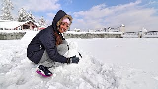 SHIMLA TOUR PART 2  AG VLOGS EP15  AMRITHA SURESH [upl. by Eiznik]