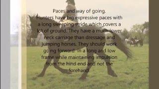 Ridden Hunter Explained [upl. by Ceevah]