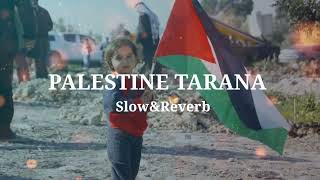 Palestine Tarana  Labbaiq Yea Aqsa  New Urdu naatSlowed amp Reverbed [upl. by Fortune17]