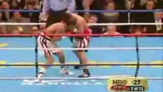 Miguel Cotto Highlights [upl. by Finegan699]