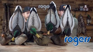 Fully Flocked Mallard Decoy Comparison [upl. by Ikairik]