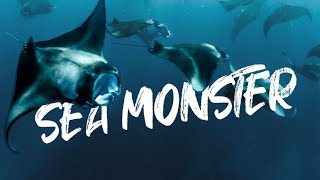 4K Must Visit Place  Manta Ray Habitat Hanifaru Bay Maldives [upl. by Noemis657]