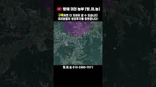 용인 SK하이닉스의 신도시와 미래는 이천 하이닉스가 아닌 평택 삼성반도체입니다 용인 부동산 용인하이닉스 삼성반도체 [upl. by Bettencourt482]