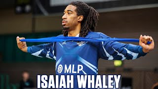 ISAIAH WHALEY  Basketball Highlights in Heidelberg 202324 [upl. by Marela]