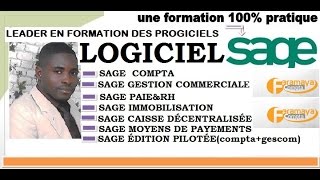 SAGE 100 COMPTABILITÉ  CRÉATION DU PLAN ANALYTIQUE ET VENTILATION DES CHARGES [upl. by Inotna660]