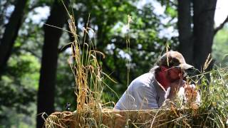 Chris Hillman wins the Master Division duck calling contest [upl. by Waki]