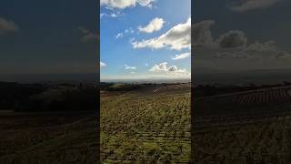 Drone Over Morgon CRU BEAUJOLAIS France [upl. by Careaga]