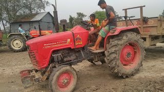 Amazing Giant Red Goat Small Black Goat Farming Video [upl. by Theodoric]