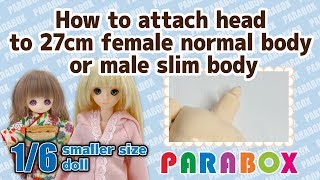 How to attach head to 27cm Obitsu female normal bodymale slim body [upl. by Eiresed]