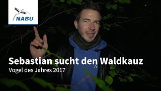 Der Waldkauz Vogel des Jahres 2017 [upl. by Cathey832]