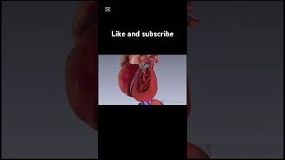 Congestive heart failure biologyclass12 biology animation [upl. by Gniy949]