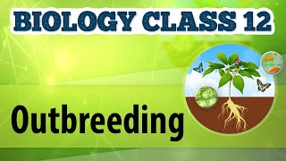 Outbreeding  Animal Husbandry  Biology Class 12 [upl. by Ryhpez196]