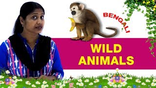 Bengali Preschool  Wild Animal In bengali  Animals Name in bengali  Wild Animals [upl. by Xavler444]